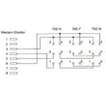 InLine® TAE Adapterkabel, RJ45 St auf TAE NFN Dose, 20cm (69942)