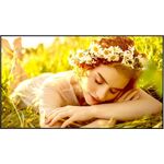 LG 65UL5Q-E 65" 4K UHD Digital Signage Display webOS Schwarz 500 cd/m² (65UL5Q-E.AEUQ)