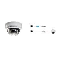 LevelOne FCS-3101 Netzwerk-Überwachungskamera (FCS-3101)