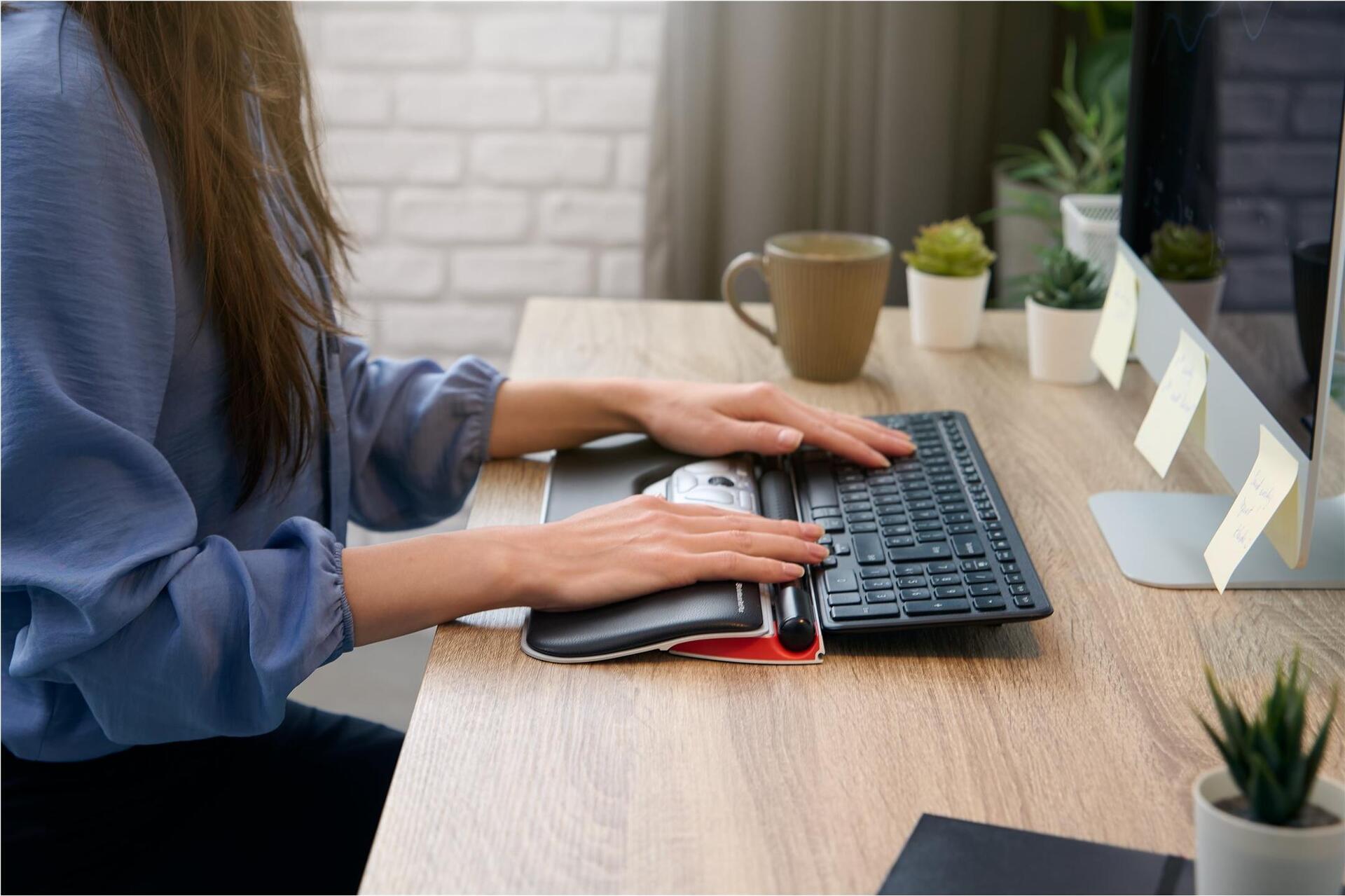Contour RollerMouse Red Zentrale Maus 7 Tasten USB-C Schwarz, Silber