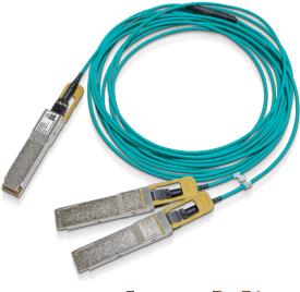 Nvidia MFS1S50-H030V Glasfaserkabel 30 m QSFP56 2x QSFP56 Blau (980-9I96P-00H030)