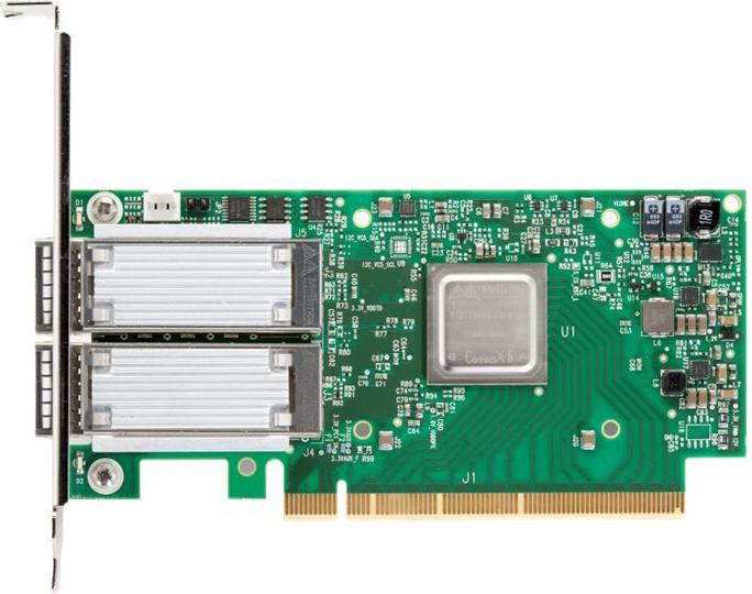 Mellanox ConnectX-5 VPI (MCX556A-ECAT)