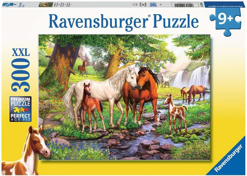 Wildpferde am Fluss (12904)