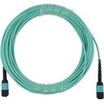BlueOptics MTP12-FF-M1M kompatibles MPO-MPO Multimode OM3 Patchkabel 1 Meter (MTP12-FF-M1M-BO)
