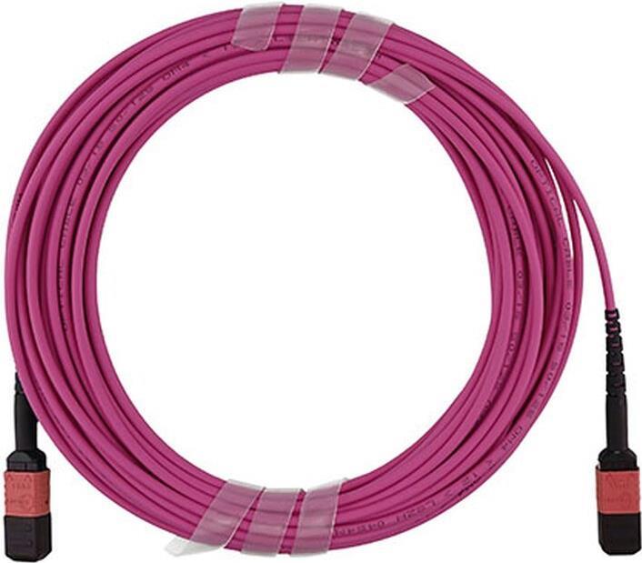 BlueOptics LWL Trunkkabel, MPO-UPC/MPO-UPC, 0.5 Meter, Multimode G50/125µm, OM4, Markenfaser, LSZH magenta / violett, 3.0mm Tube, 24 Kerne, Keramik Ferrule, inkl. Messprotokoll, Typ B, MPO Stecker jeweils ohne Pins (SFP5353FU0.5MKB)