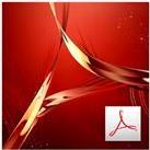 Adobe Acrobat Pro DC for teams (65297928BA12A12)