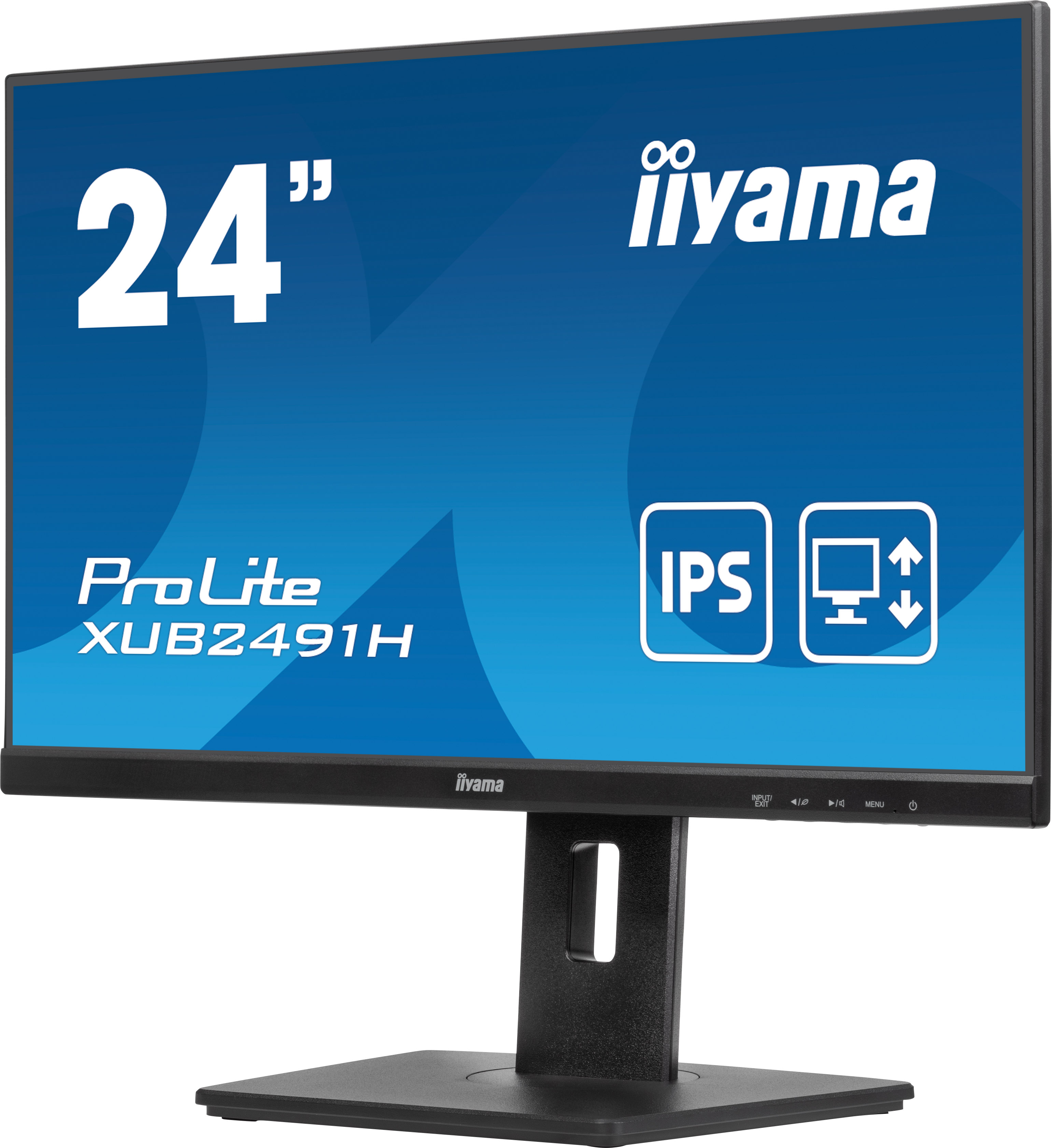 iiyama ProLite XUB2491H-B1 24" IPS 1920 x 1080 100 Hz Schwarz