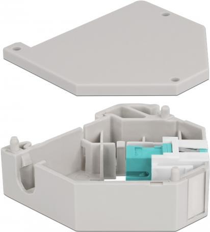 Delock Keystone Jack-DIN-Adapter für Schienenmontage (87173)