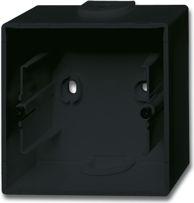 Busch Jaeger 1701-81 Wandplatte/Schalterabdeckung Schwarz (1701-81)