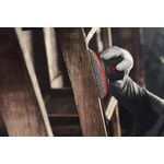 3M 39072 Xtract™ Durchmesser 150 mm 50 St. (39072)