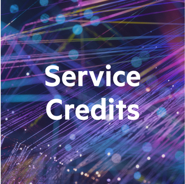 Hewlett Packard Enterprise EPACK 1Y CREDITS QTY 30 SVCENV F/ DEDICATED SERVER GR (U7EU3E)
