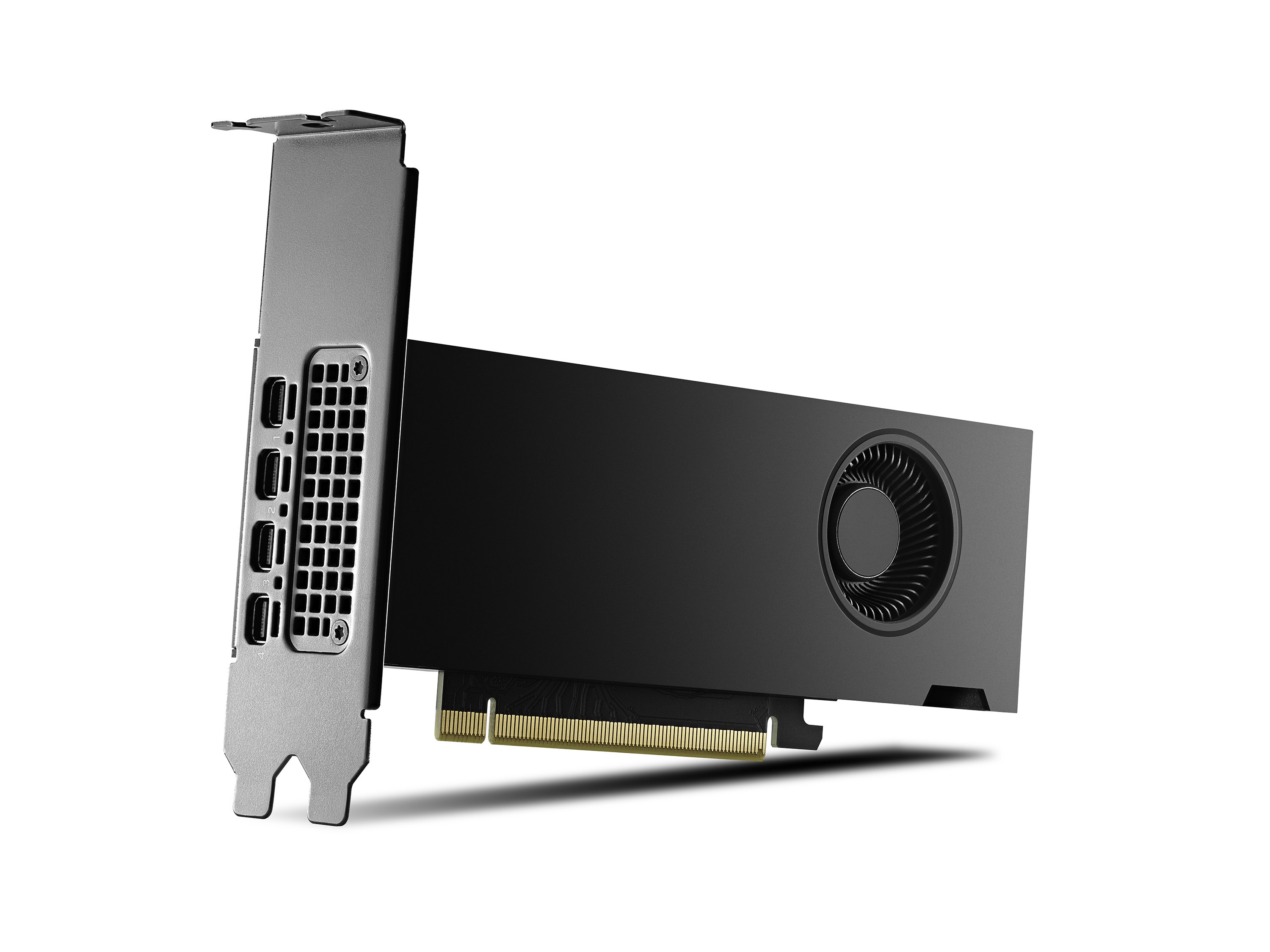 PNY NVIDIA RTX 2000 Ada 16 GB GDDR6 4x Mini DisplayPort Low Profile