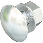 Vertr Flachrundschraube m.Kombimutter FRSB 6x12 A (6406138)