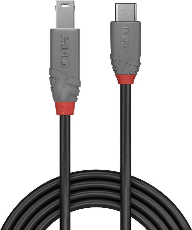 Lindy Anthra Line USB-Kabel (36668)