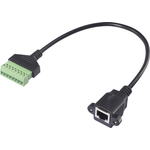 Renkforce RJ45 Netzwerk Adapterkabel[1x RJ45-Buchse 8p8c - 1x Klemmanschluss] 30 cm (RF-6443976)