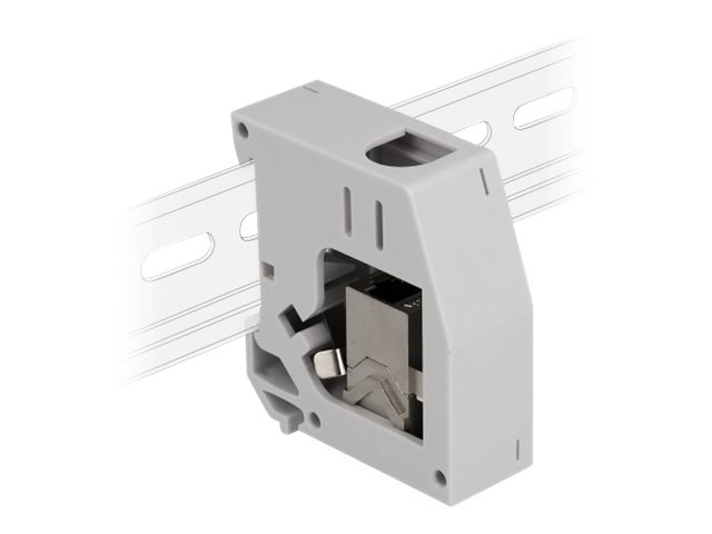 Delock Hutschienenadapter mit Keystone-Modul RJ45 Cat.6A Grau