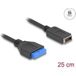 Delock USB 5 Gbps Kabel Pfostenbuchse zu intern Typ-E Key A Buchse 25 cm (65100)
