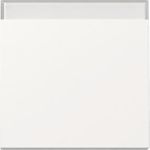 GIRA Wippe 329903 BSF Sys.55 rws (329903)