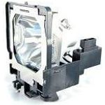 MicroLamp Lamp for projectors (610-334-6267)