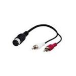 Wentronic Goobay DIN/Cinch-Adapterkabel, 0.2 m - DIN-Buchse 180° (5-Pin) > 2x Cinch-Stecker (Audio links/rechts) (50004)