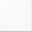 JUNG A1700BFWW A1700BFWW Steuertaste Standard (A1700BFWW)