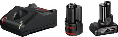 Bosch 1 x GBA 12V 2.0Ah + 1 x GBA 12V 4.0Ah + GAL 12V-40 Professional Haushaltsbatterie AC (1600A01NC9)