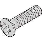 SCHROFF SCREW PAN.TORX M2.5X8MM 100PC (24560164)