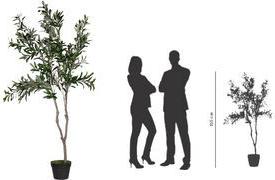 PAPERFLOW Kunstpflanze "Olivenbaum", Höhe: 1.550 mm Blätter: Polyester, Stamm: Polyethylen, - 1 Stück (PAOLI155)