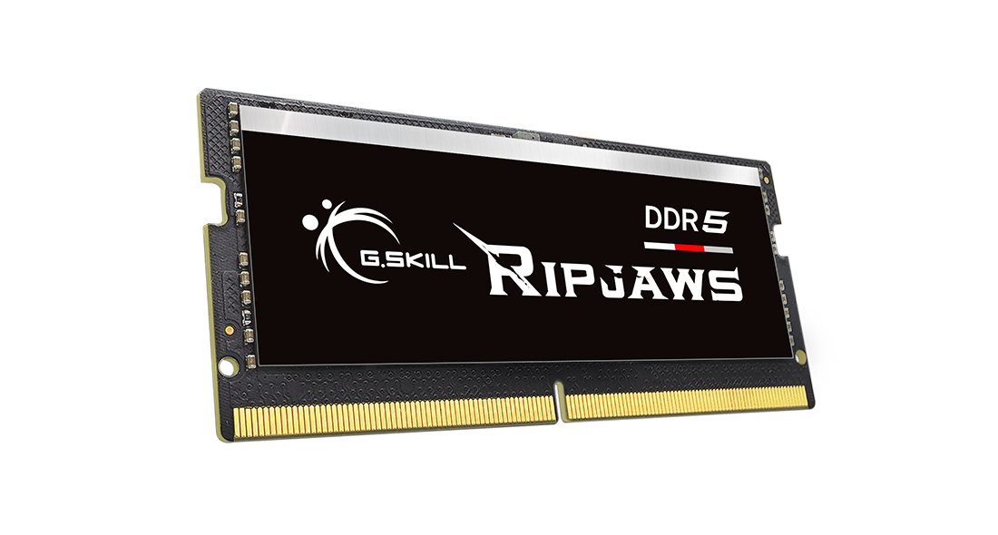 G.Skill Ripjaws DDR5 (F5-4800S4039A16GX1-RS)