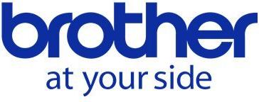 BROTHER Continuous roll, vinyl, Red, 100mm x 30m, combined with the Safety solution (LVP1V000100118FR)