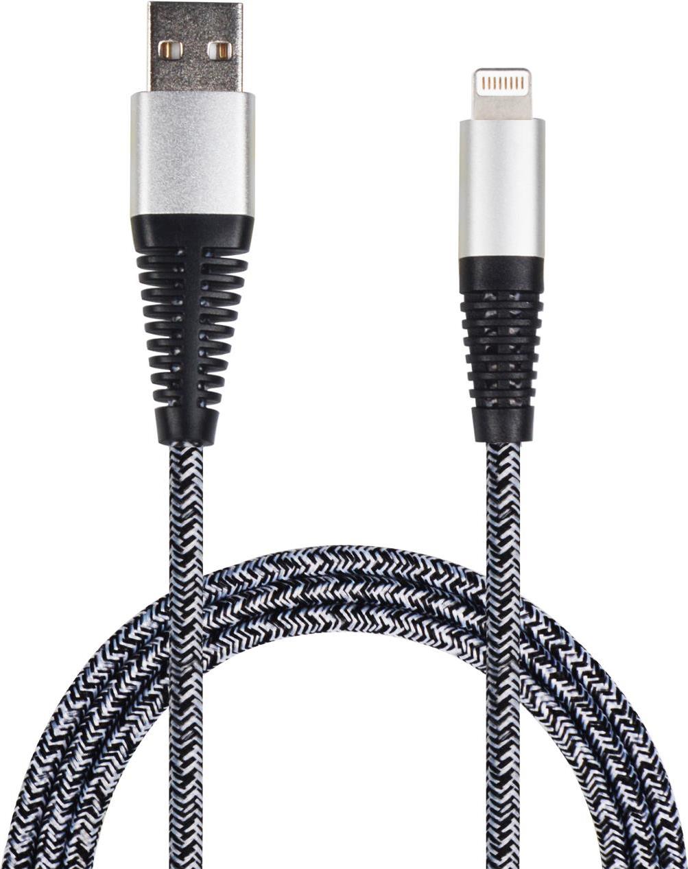 2GO 795952 USB Kabel 1 m USB B Lightning Silber (795952)