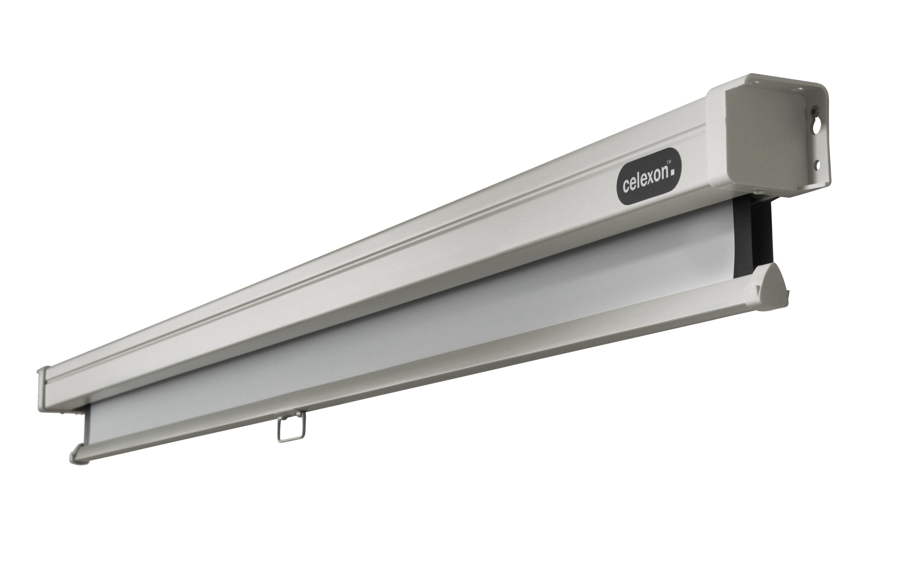 Celexon Professional Rollo-Leinwand manuell 220 x 220 cm (120") 1:1 Schwarz, Weiß