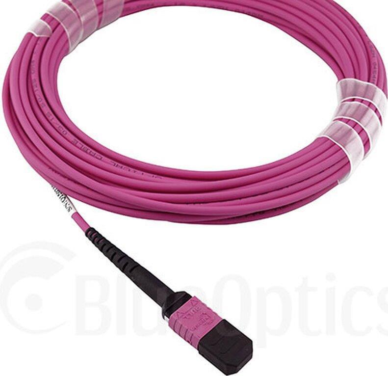 BlueOptics SFP6262FU30MKB Glasfaserkabel 30 m MTP OM4 Pink (SFP6262FU30MKB)