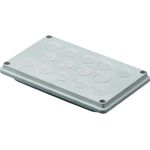 Rittal SV - Kabeleingang Durchführungsplattenmodul