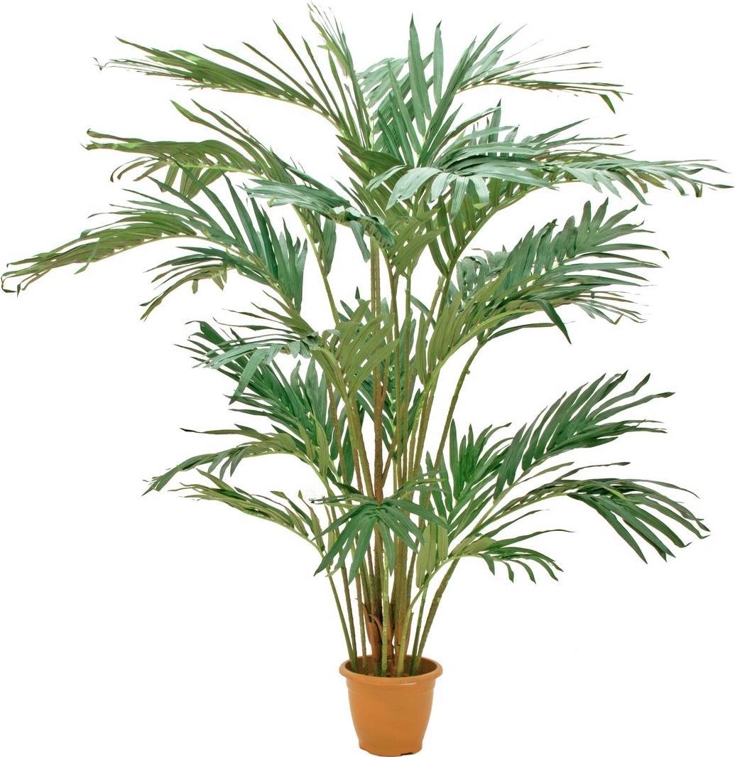 EUROPALMS Kanarische Dattelpalme, Kunstpflanze, 240cm (82511311)