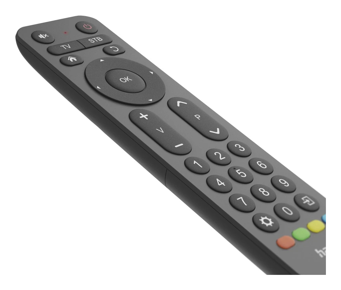 Hama Universal-Fernbedienung TV Infrarot für 2 Geräte große Tasten Schwarz