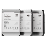 Synology HAS5300 Festplatte (HAS5300-12T)