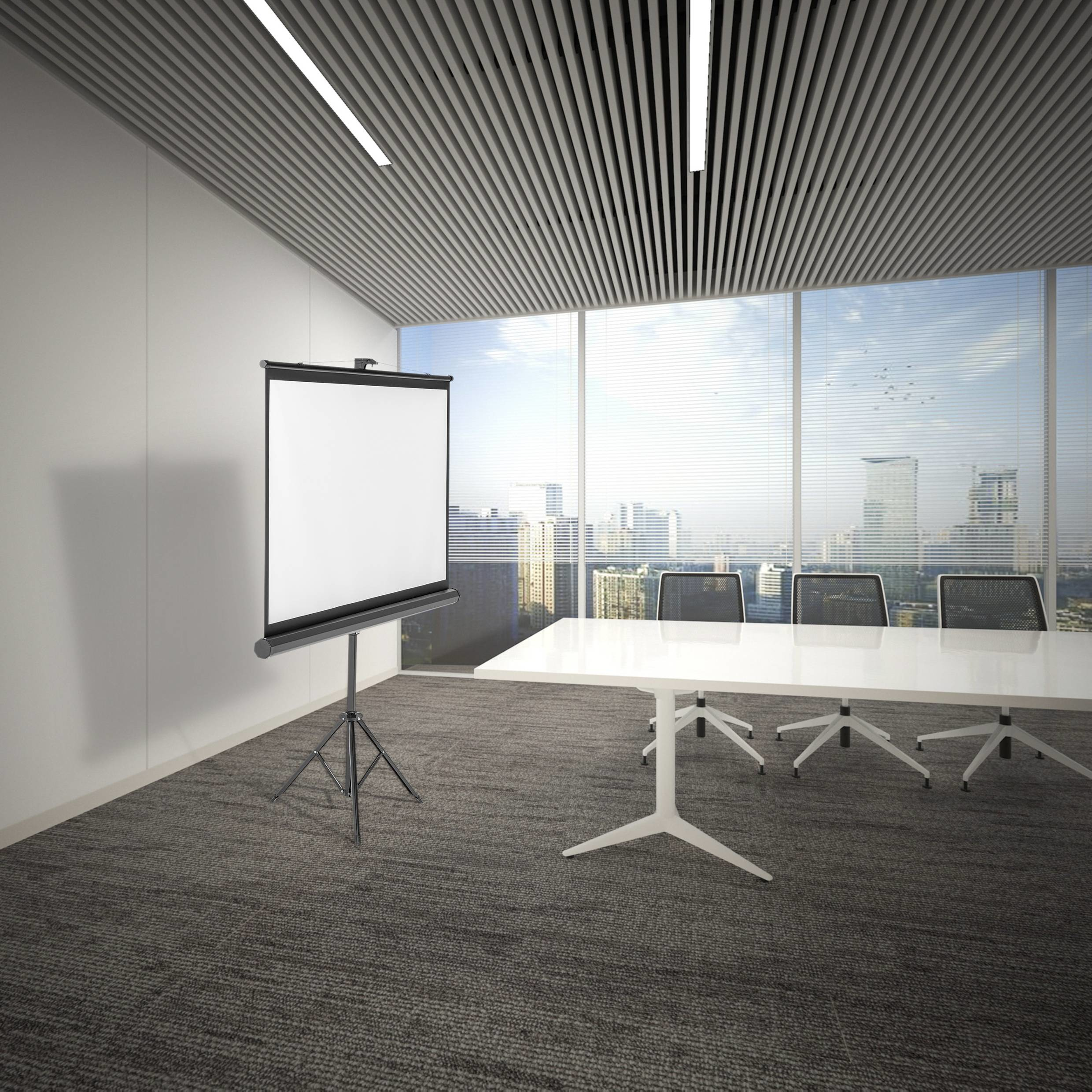 SpeaKa Professional Stativleinwand SP-PST-360 108" 16:9 240 x 135 cm