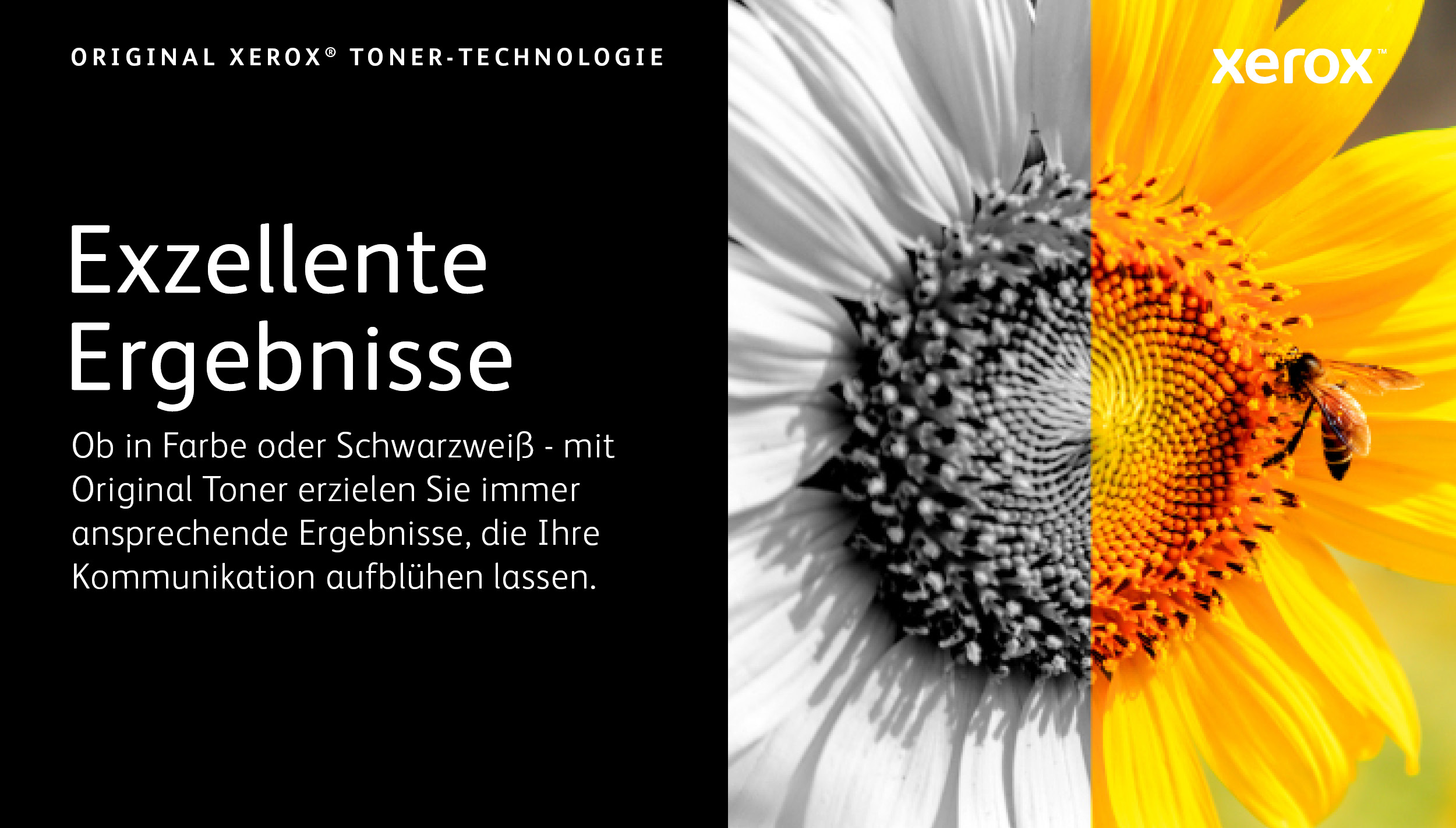 Xerox 006R04378 Tonerkartusche Extra hohe Kapazität Schwarz