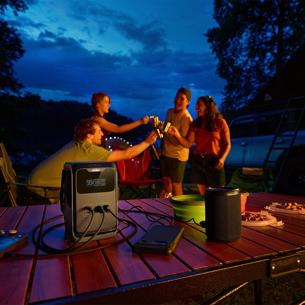 EcoFlow TRAIL 200 DC Portable Power Station 198 Wh 220 W Schwarz, Grau