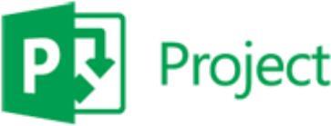 MICROSOFT OVL-GOV Project Pro SA Step Up 1 License Project Std Additional Product +1 ProjectSvr CAL