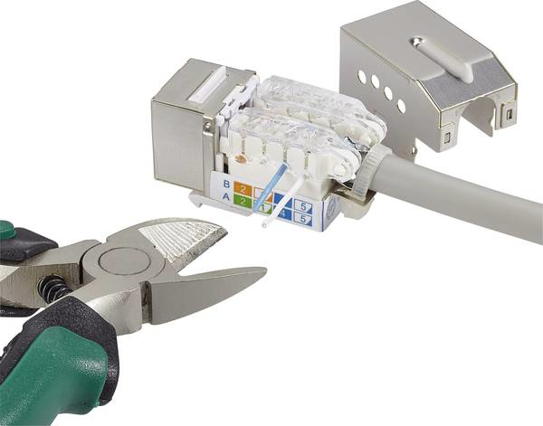 Renkforce RJ45-Einbaumodul Keystone CAT 6 Metallisch, Transparent, Weiß