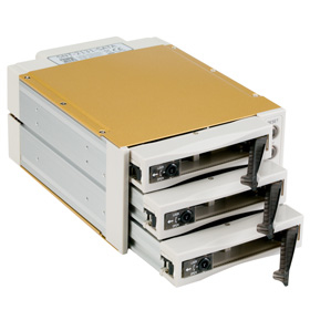 FANTEC SNT-BA2131-2 Mobiles Speicher-Rack 2x 5,25" Beige