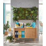 Leitz 55670089 30 Blätter (55670089)