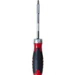 Ratschen - Schraubendrehersatz, 12-teilig mit den gängigsten Bits (815631)