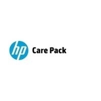 Hewlett-Packard HP Foundation Care Software Support 24x7 (U4AP7E)