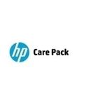 Hewlett-Packard HP Foundation Care Software Support 24x7 (U4AP7E)