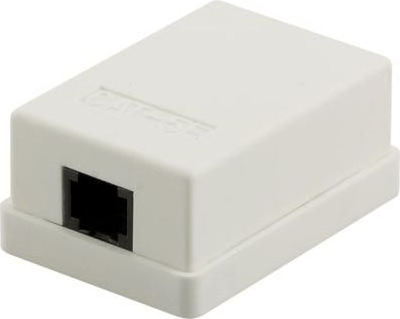 DSIT Dose Aufputz Cat. 5/ Class E einfach, ungeschirmt, 1 x 45RJ, Elfenbein (DS-Wall-Out-UTP5-I)
