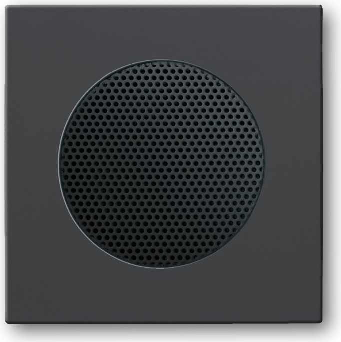 Busch-Jaeger 2CKA008200A0078 Lautsprechergitter (2CKA008200A0078)