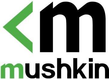 Mushkin Redline MRA4S320NNNF16GX2 32 GB DDR4 3200 MHz SO-DIMM Schwarz